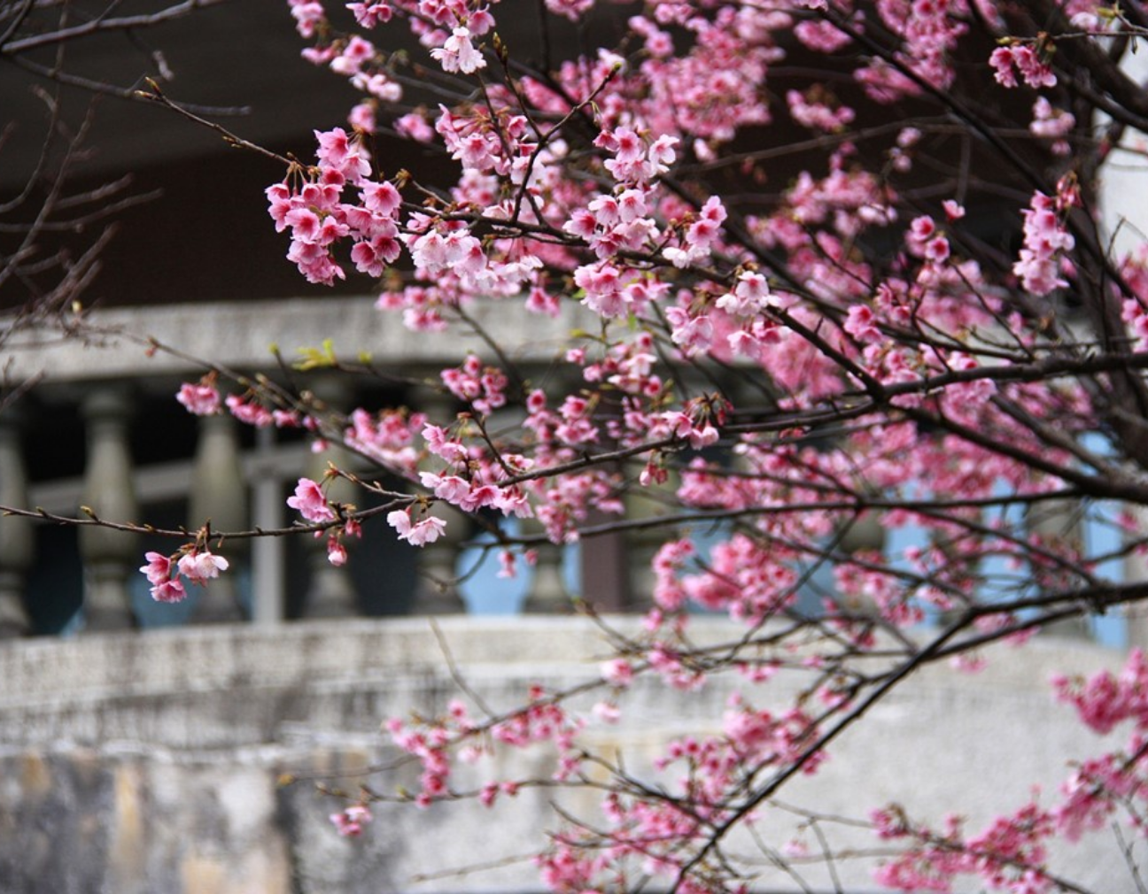 ジョングクは人生の作家です thumbnail