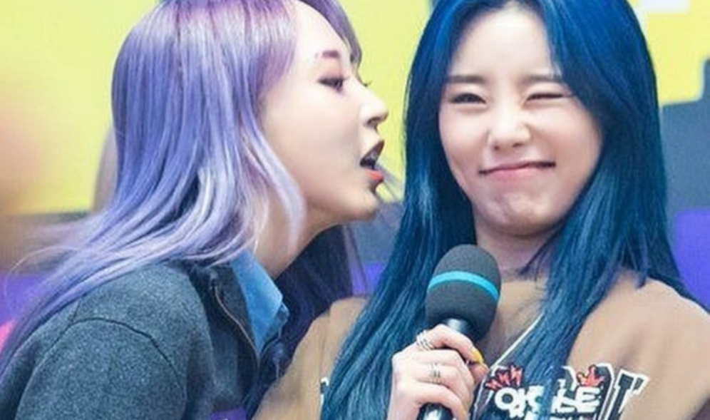 옆집 고양이 thumbnail