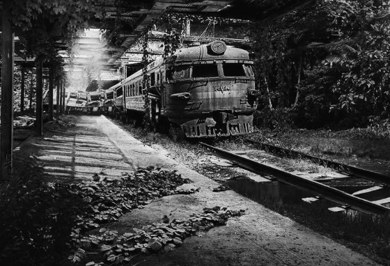 달로 갔다가 다시는 돌아오지 못하다 thumbnail