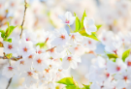 （停頓）我22年前分手的妹妹 thumbnail