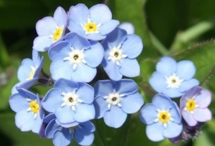 Lo siento... por favor no llores... mi señora... thumbnail