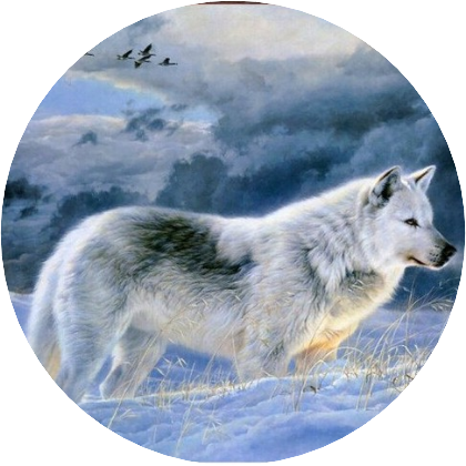 김석진(푸른 늑대) image