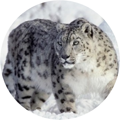 장민(설표) image