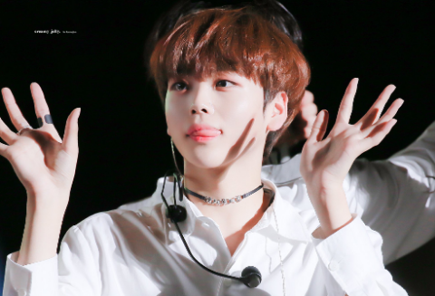 Mayor, ¿qué hay de mí? thumbnail