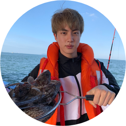 seokjin image
