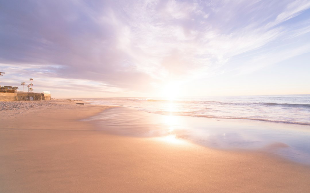 냠준이에게 투표하세요 thumbnail