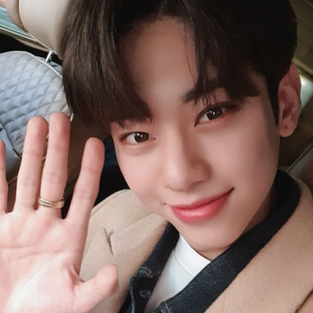 김동현 image