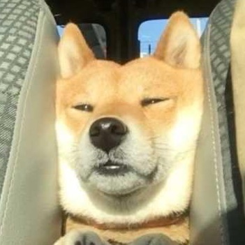 나여주 image