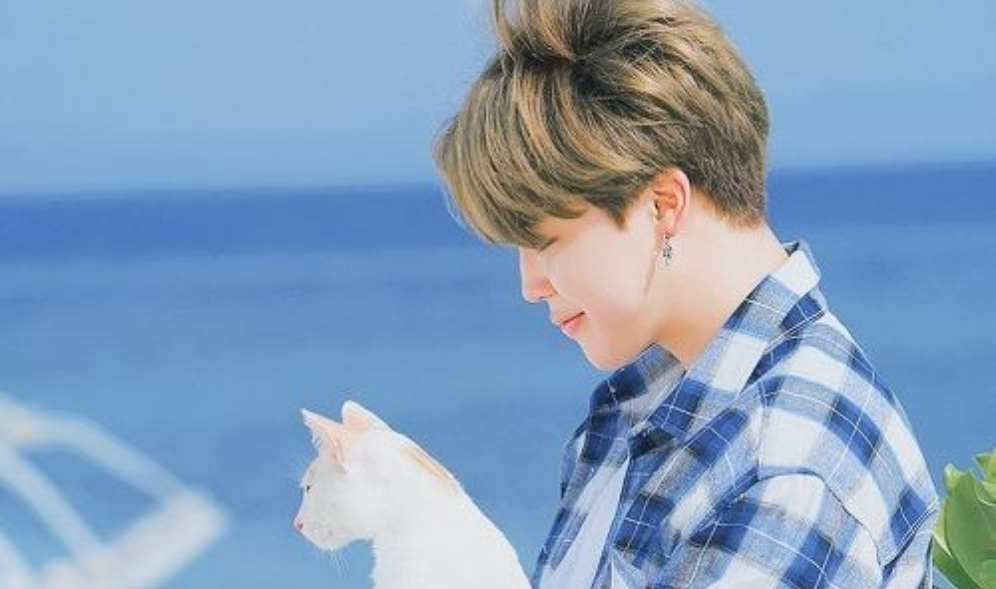 사랑 사랑 이별 thumbnail