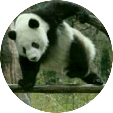 지나가던작가 image