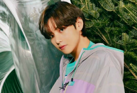 Spring in December, thumbnail