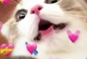 윤기와 태형에게 투표하세요 thumbnail