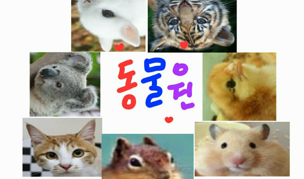 動物園 thumbnail