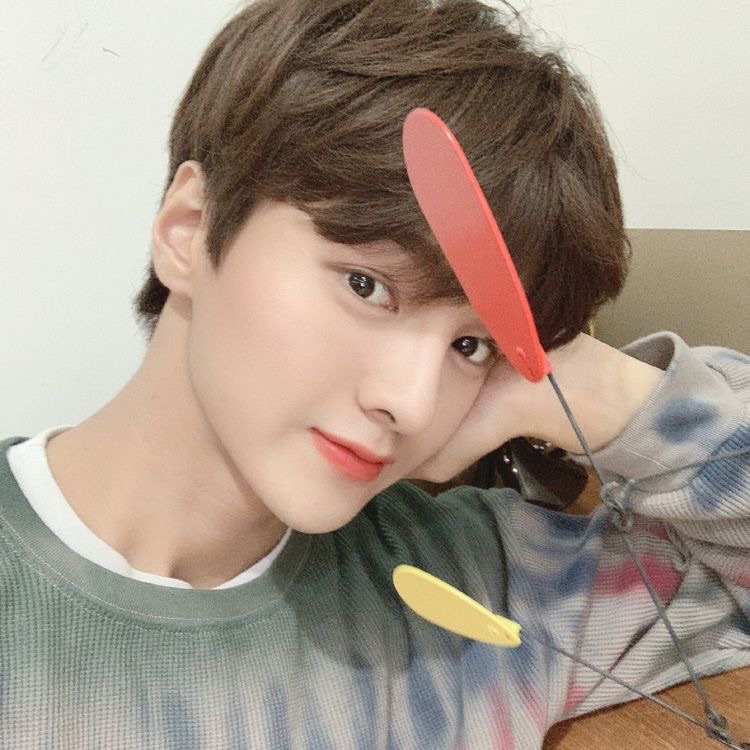 차준호 image