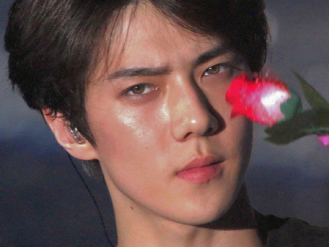 소년과 장미 thumbnail