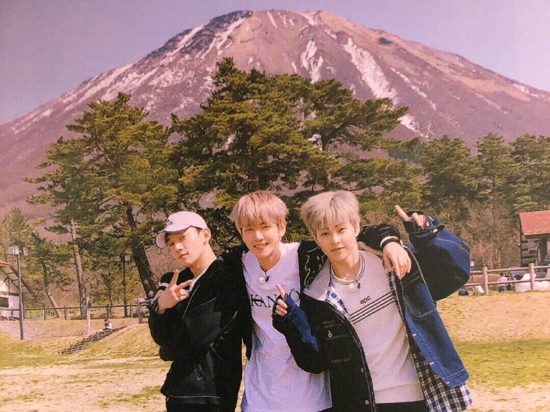 산림 생활 thumbnail