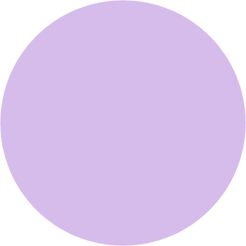 보라돌이작가 image