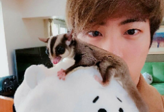 석진 아미에게 투표하세요 thumbnail