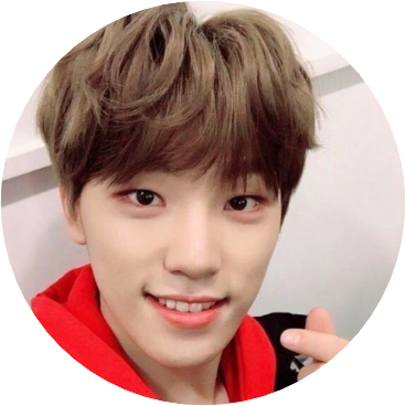 디노(이 찬)22 image