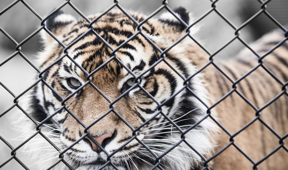 我是你的朋友…… thumbnail