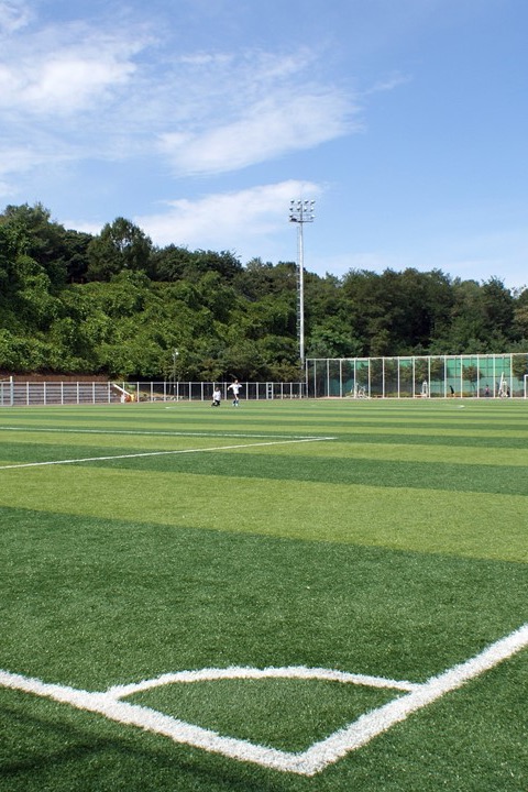 與霸凌者約會 thumbnail