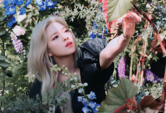 投票給定延 thumbnail