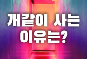 개같이 사는 이유는? thumbnail