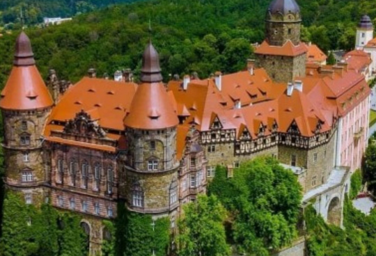 Rose Queen🌹  thumbnail