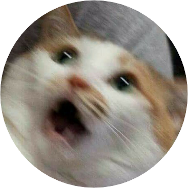 고양이 image