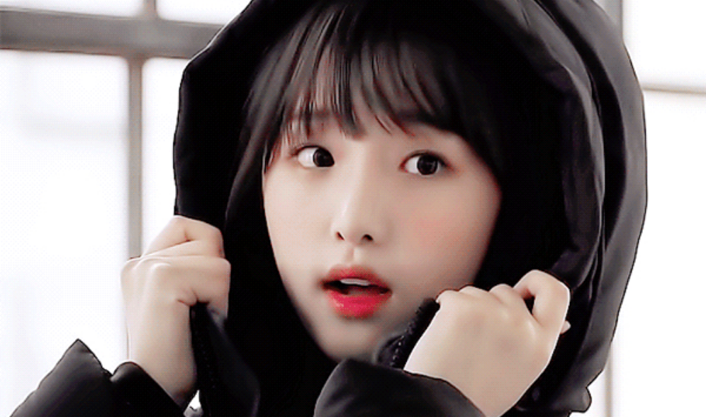 我们是 Izone 组织 thumbnail