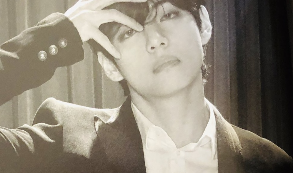 一只假扮成狐狸的熊 thumbnail