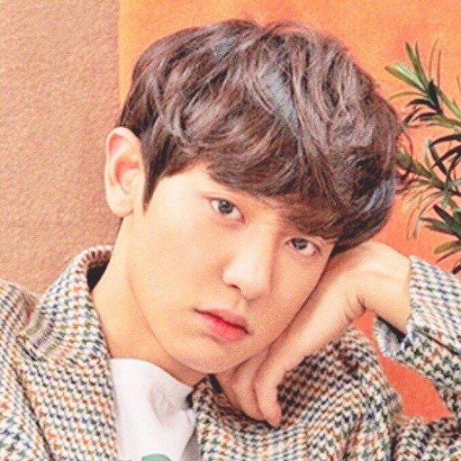 박찬열 image