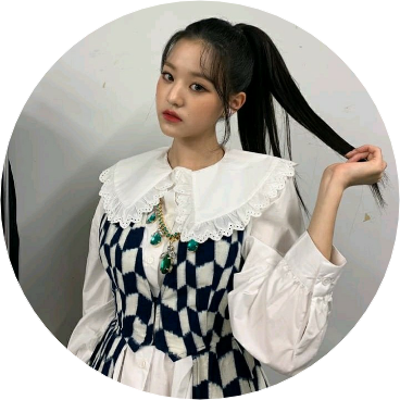 셸린 디슬릴 image