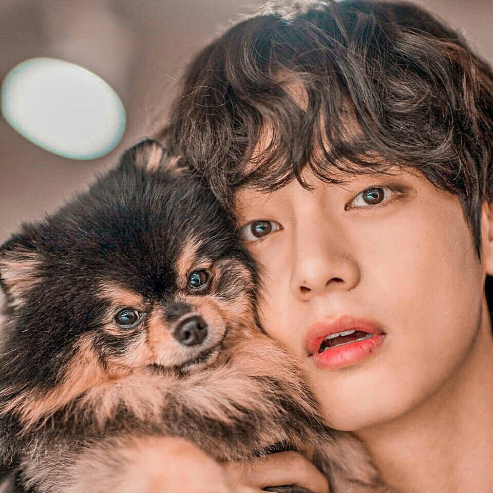 김태형 image