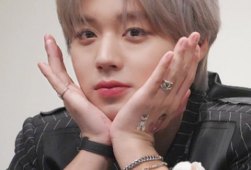 Newbie dog gets caught by the iron wall manager thumbnail