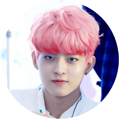 정수빈 image