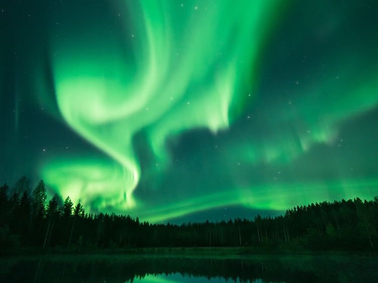 Nct Oneshots thumbnail