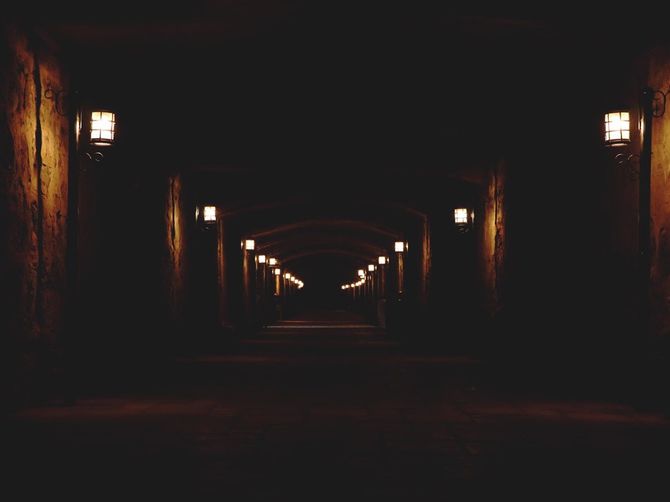 7개의 송곳니 희생 thumbnail