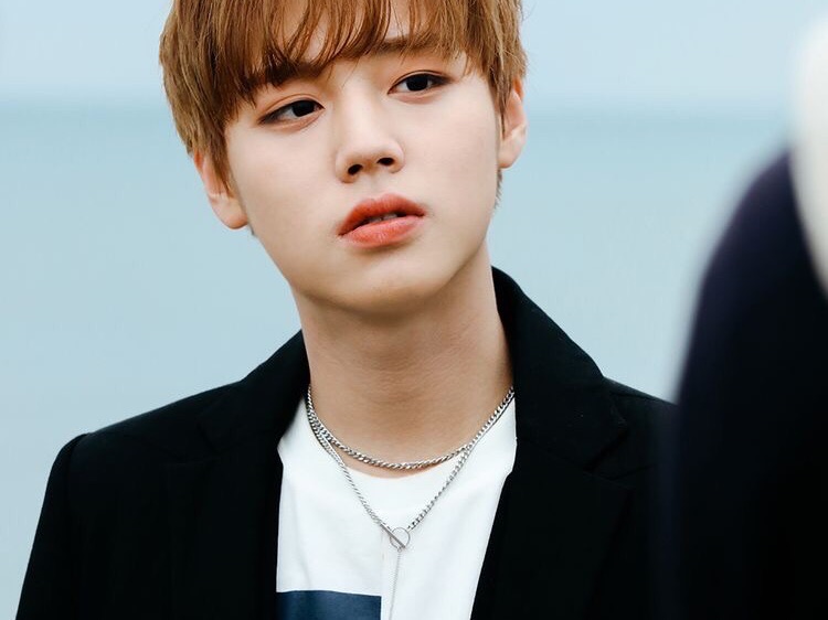 박지훈 - 시작 thumbnail