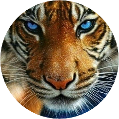 태형아빠 (호랑이) image