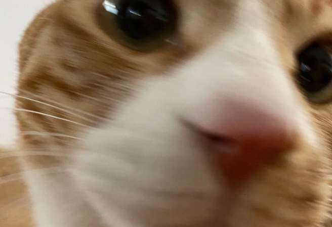 현진과 팬 플러스 thumbnail