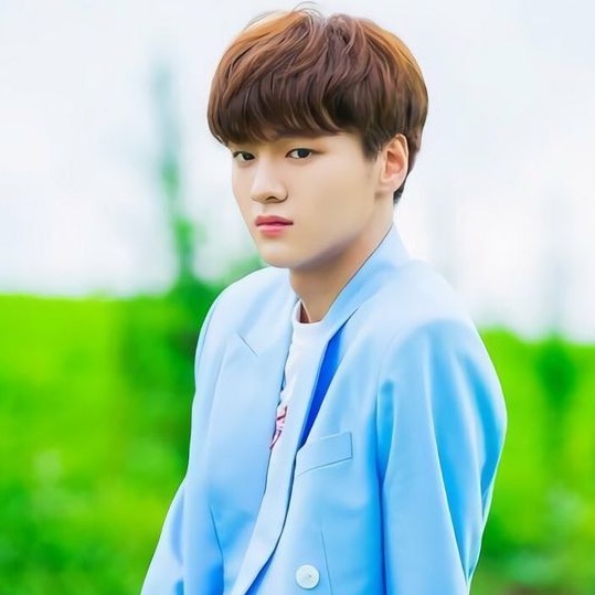 차준호 (13) image