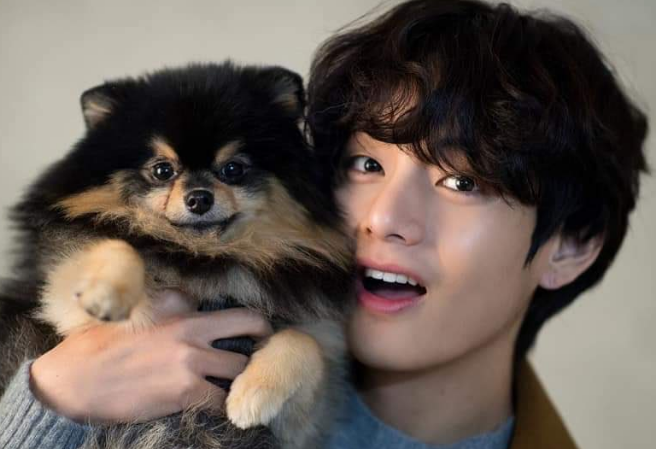 BTS x BTS 단편 thumbnail