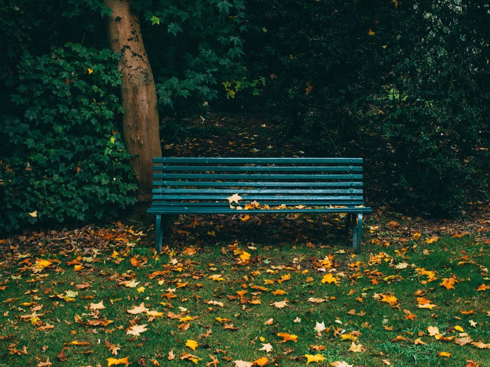 我早就告诉过你了 thumbnail