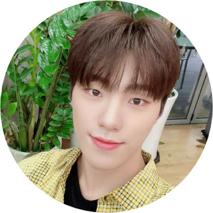 이찬|디노|22 image