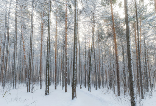 晚安書店浪漫故事 thumbnail