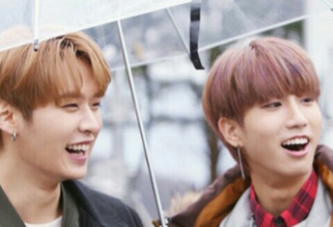 한에게 투표하세요 thumbnail