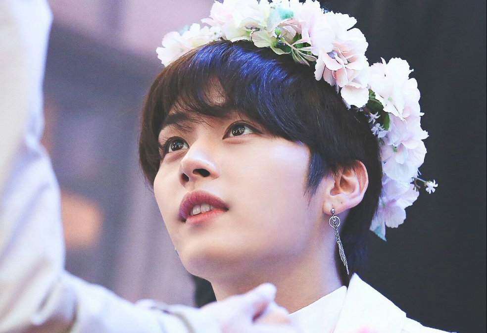 리노에게 투표하세요 thumbnail