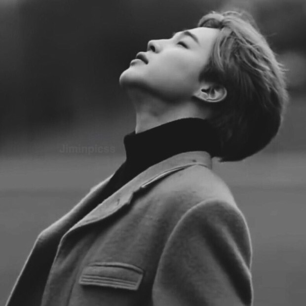 박지민 image