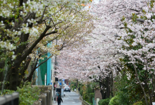 轮子？嗯 thumbnail